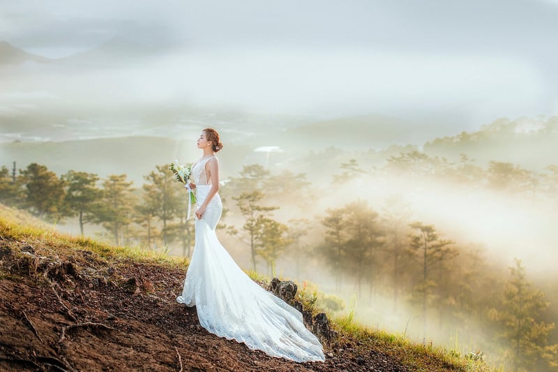 Chic Veils